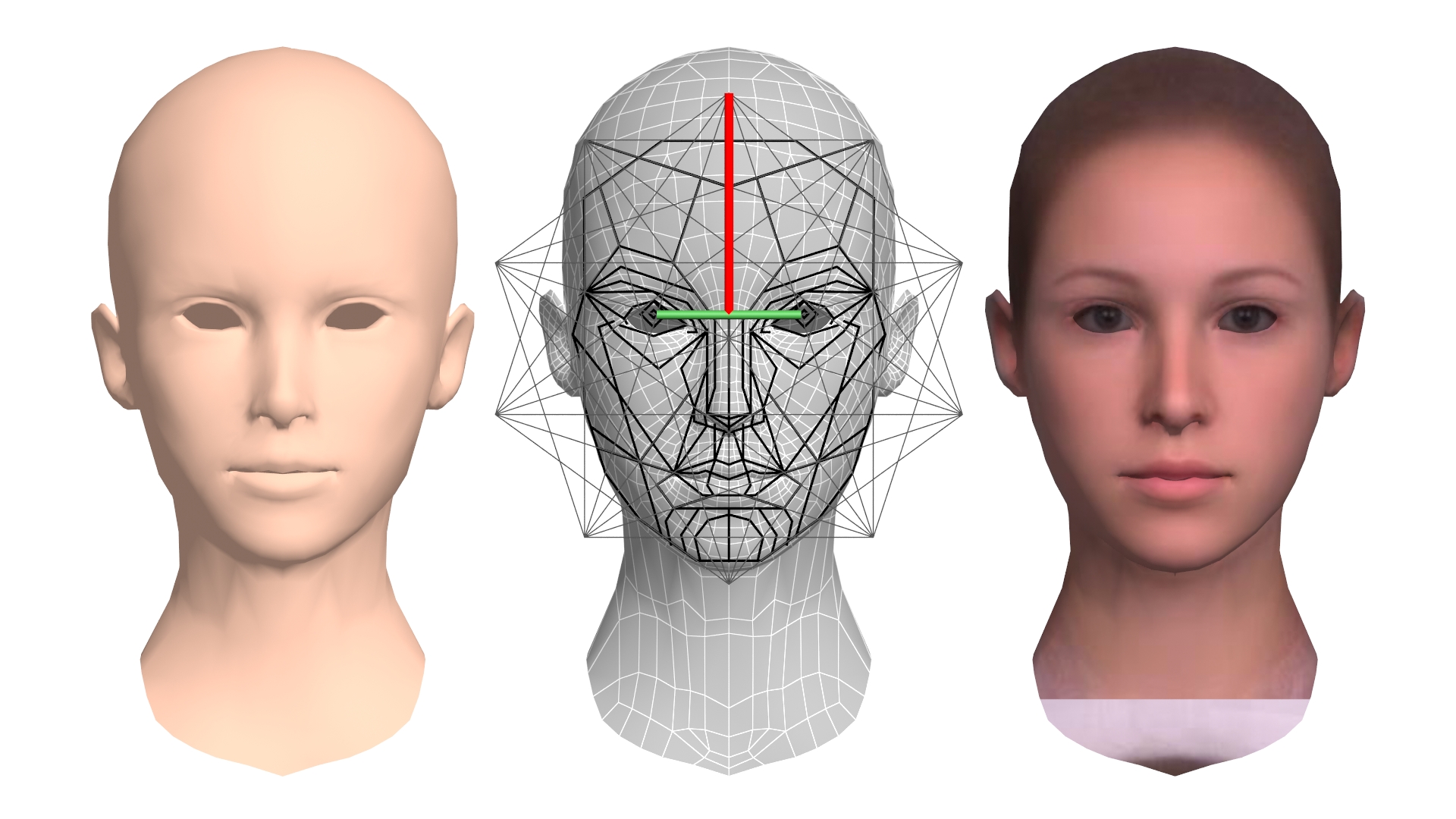 Golden Ratio Face Mask Program